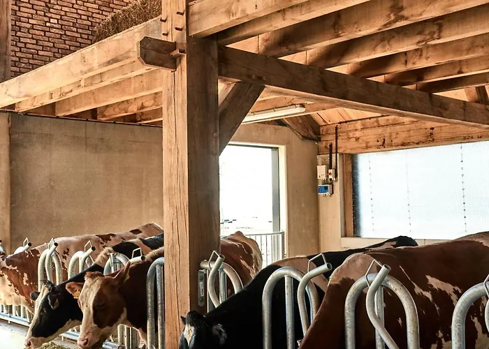 Couette-café Over-amstel Boerderij 4*