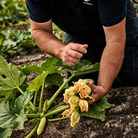 Over-amstel Boerderij Ouderkerk aan de Amstel