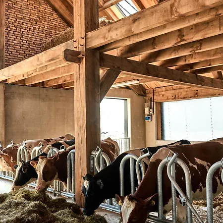 Bed & Breakfast Over-amstel Boerderij 4*