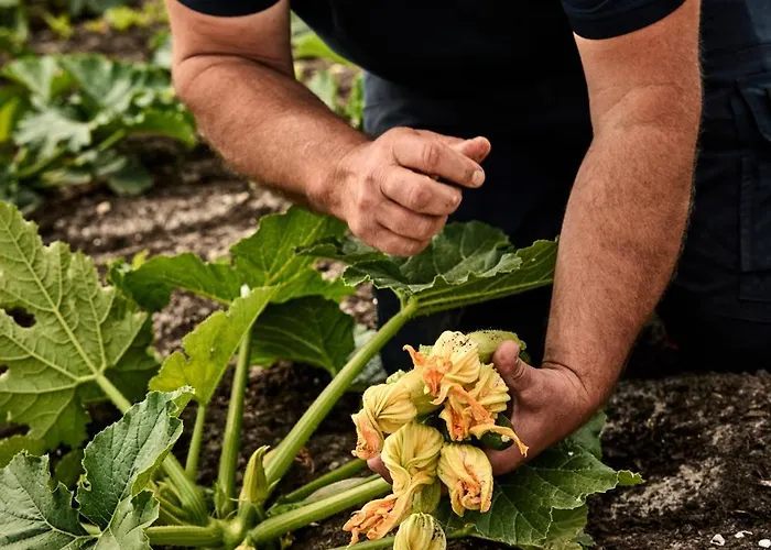 Over-amstel Boerderij Ouderkerk-sur-l'Amstel